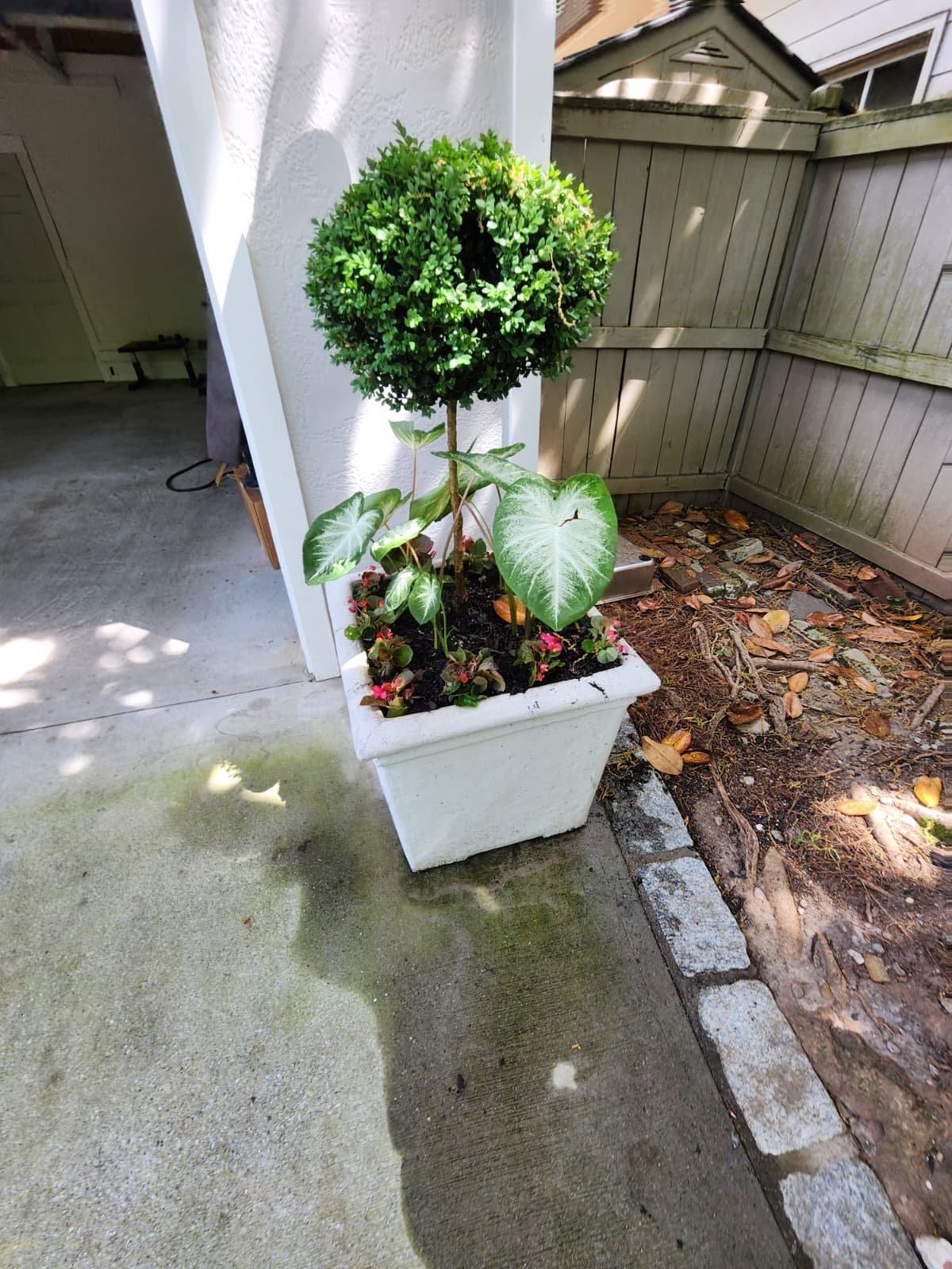 Detailed landscaping installation with plants and natural materials